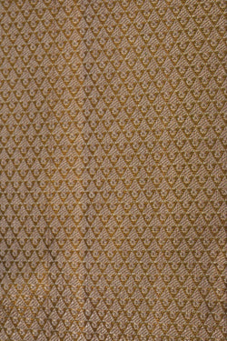 Image of Kanchipattu Tissue Brocade Gold Saree