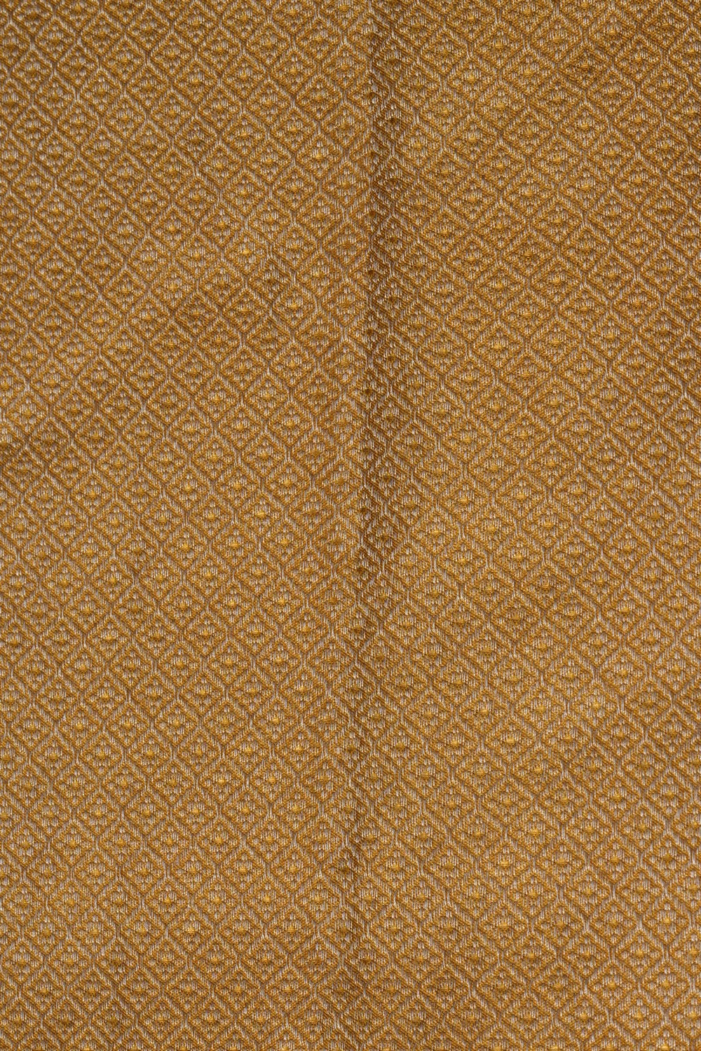 Kanchipattu Tissue Brocade Gold Saree