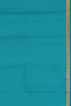 Image of Arani Silk Mint Green Saree