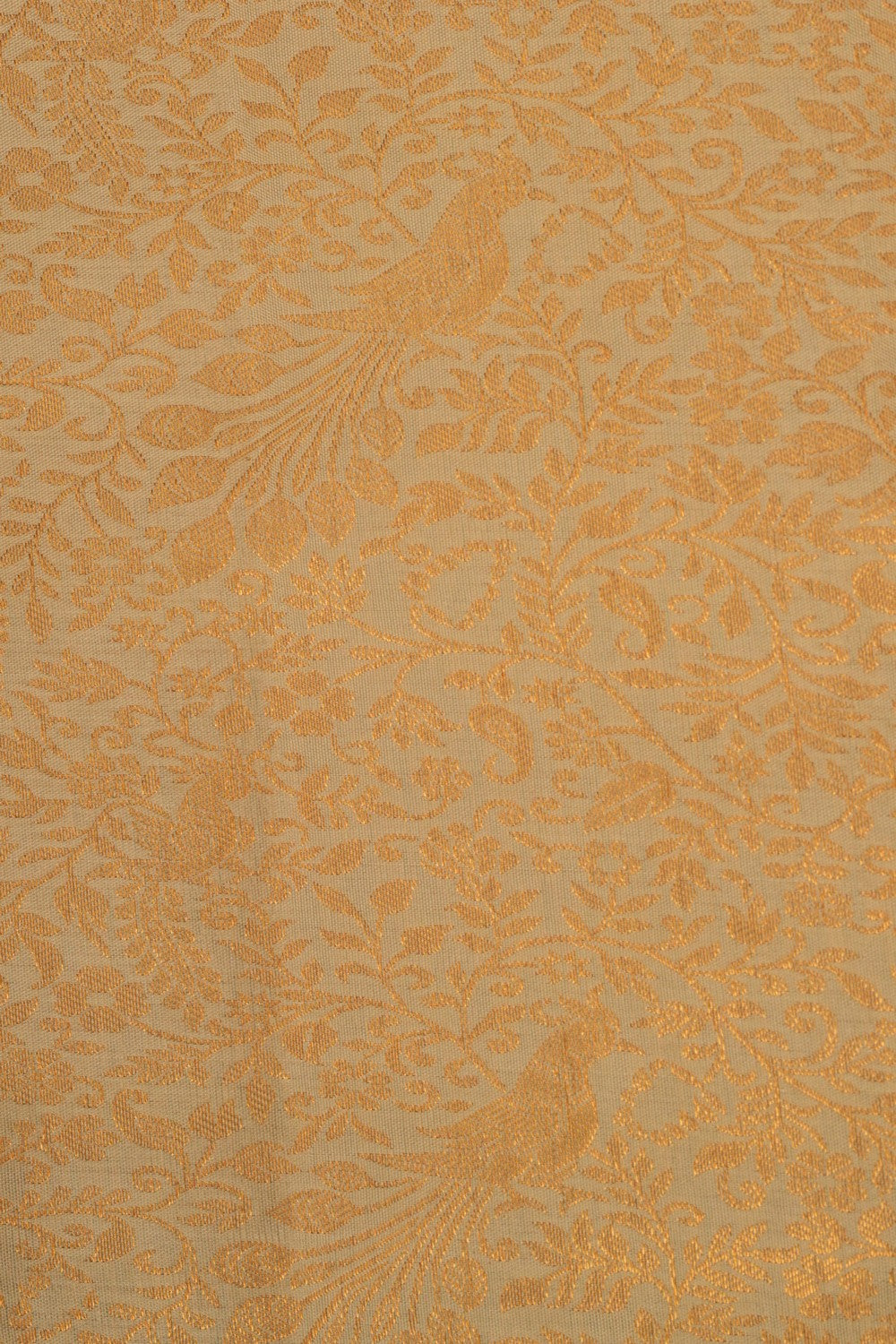 Image of Kanchipattu Brocade Off White Saree