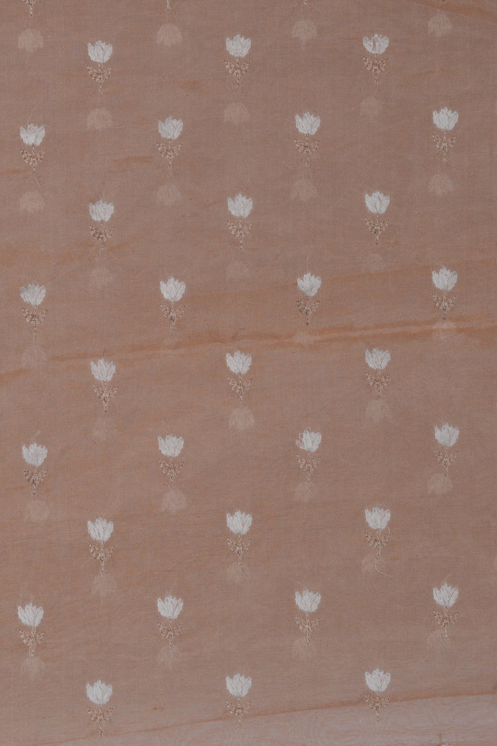 Image of Banarasi Dupion Silk Black Saree