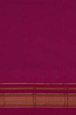 Image of Narayanpet Pure Silk Beige Saree