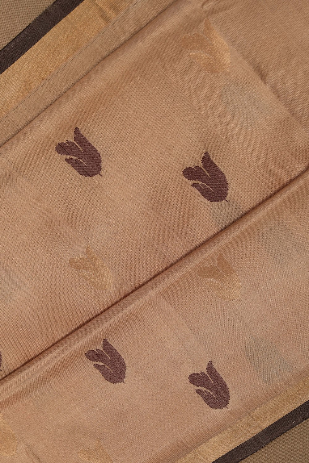 Image of Uppada Silk Beige Saree