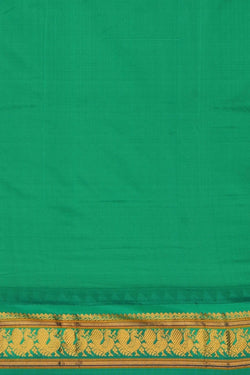 Image of Narayanpet Pure Silk Off White Saree