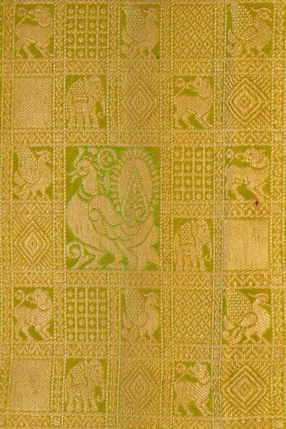 Kanchipattu Brocade Spring Green Saree