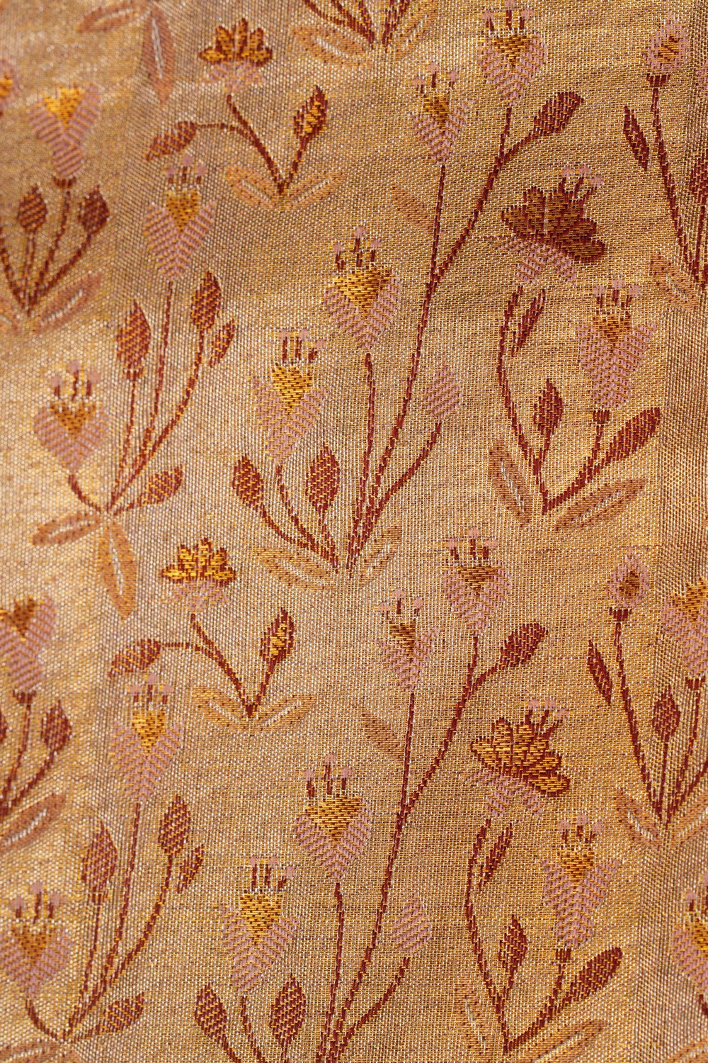 Image of Kanchipattu Brocade Gold Saree