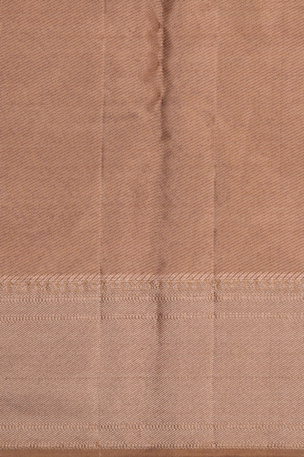 Image of Kanchipattu Tissue Brocade Saree