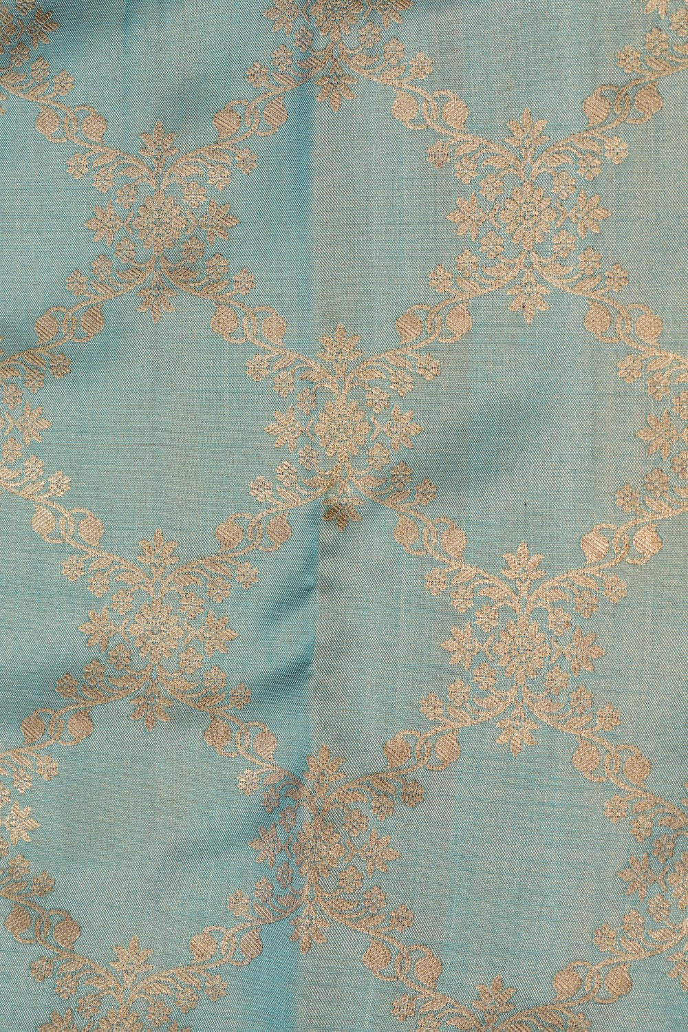 Kanchipattu Tissue Brocade Saree