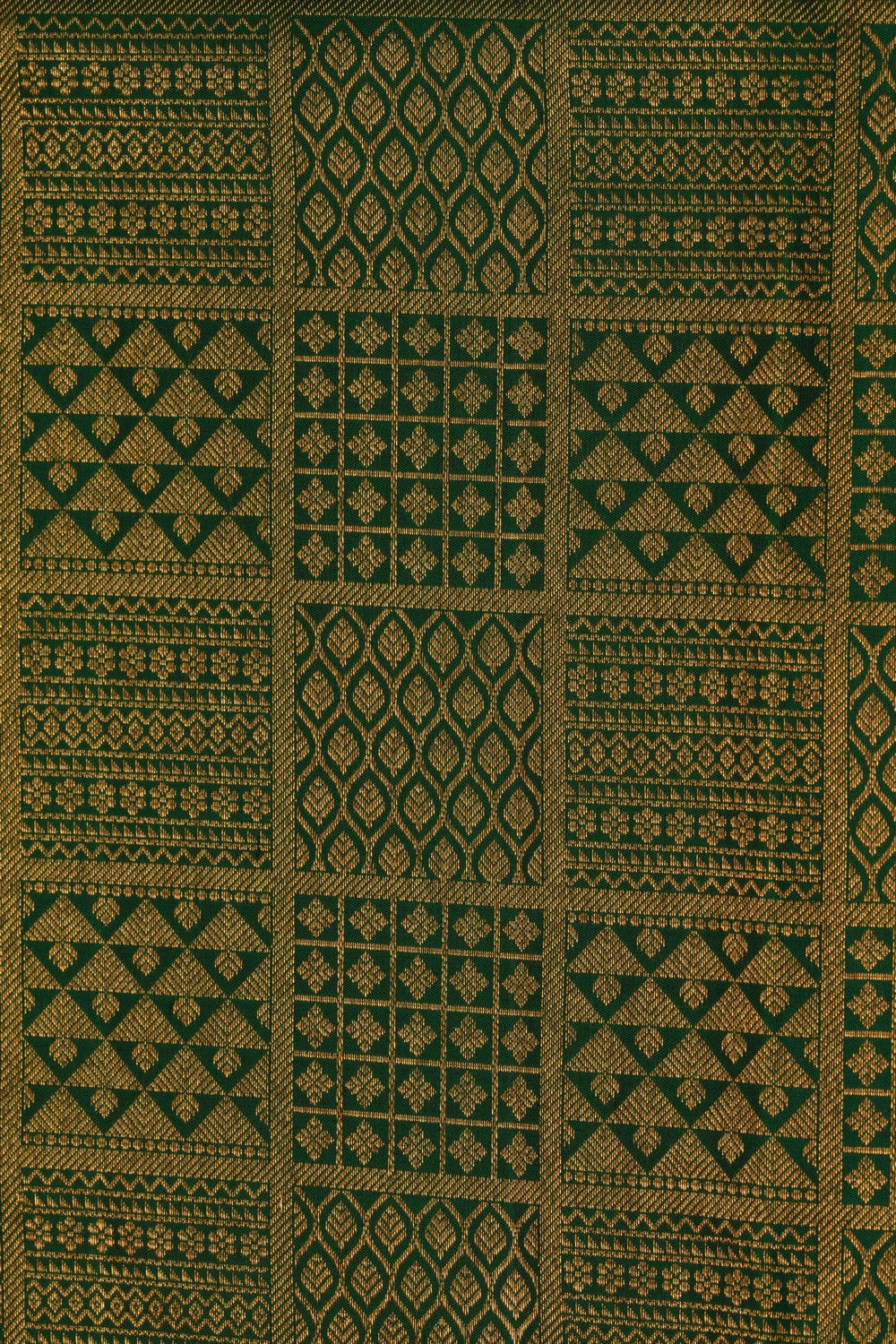 Image of Kanchipattu Brocade Green Saree