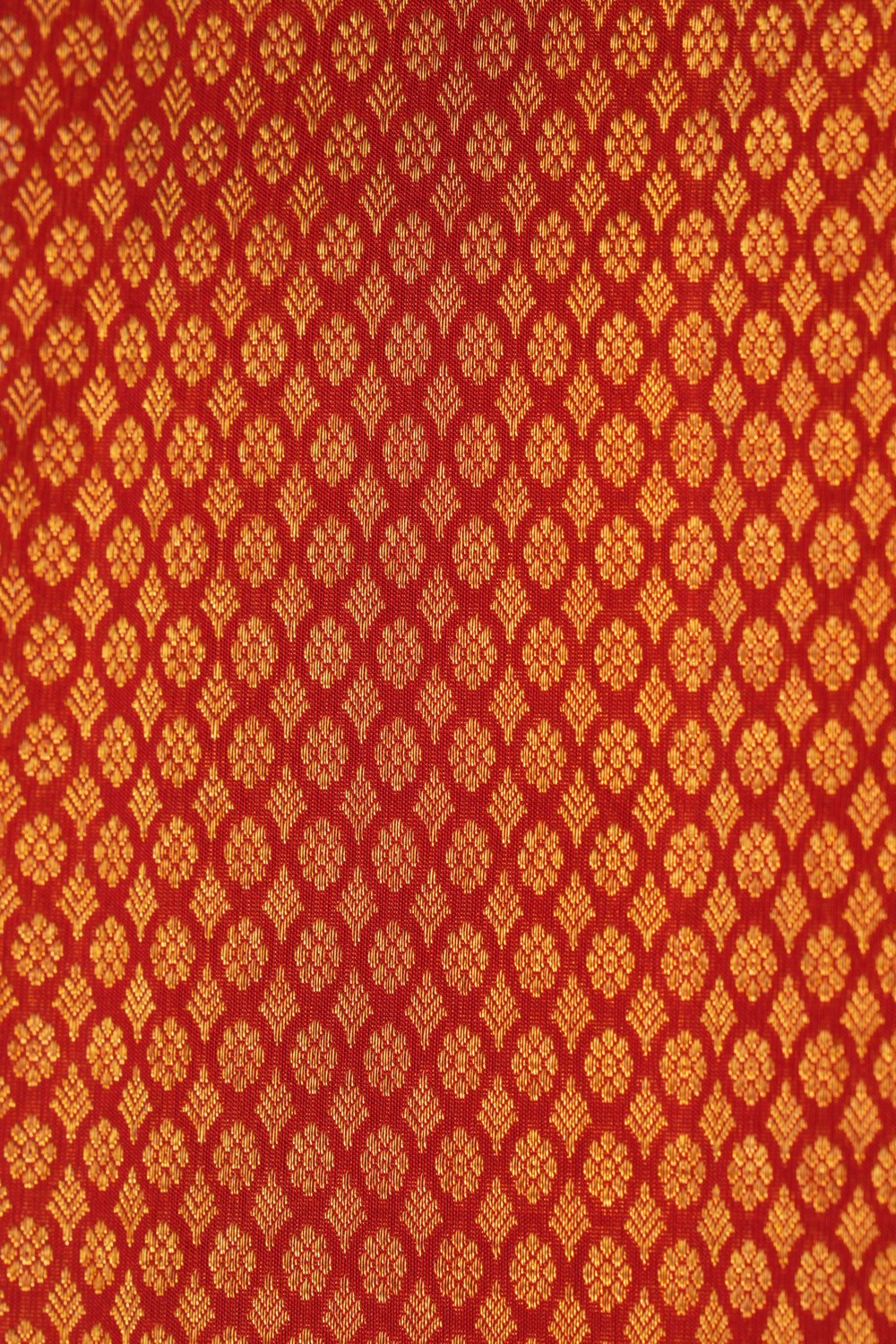 Image of Kanchipattu Red Brocade Saree