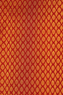 Image of Kanchipattu Red Brocade Saree