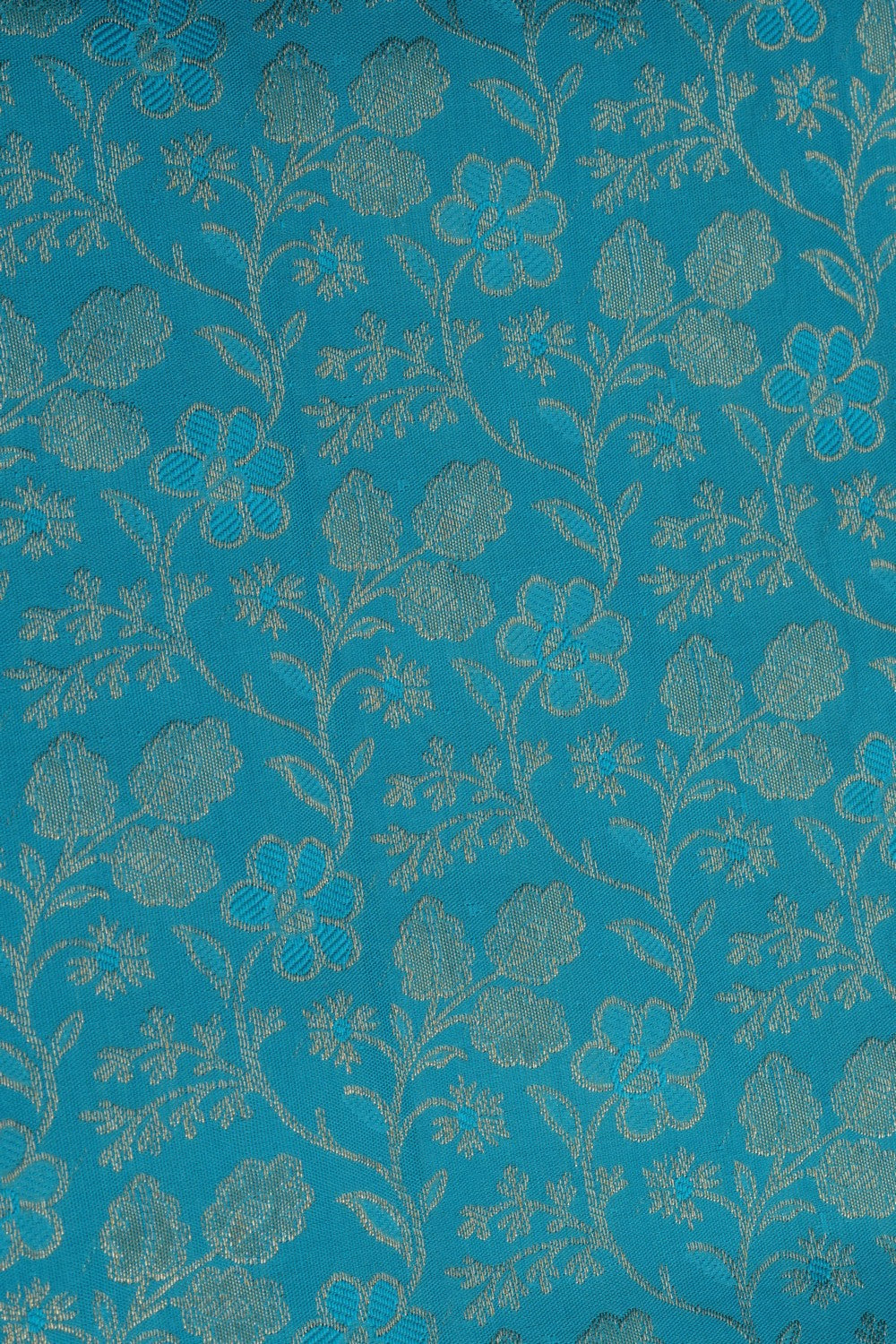 Kanchipattu Brocade Blue Saree