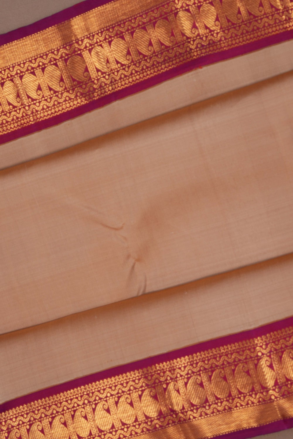 Image of Arani Silk Beige Saree