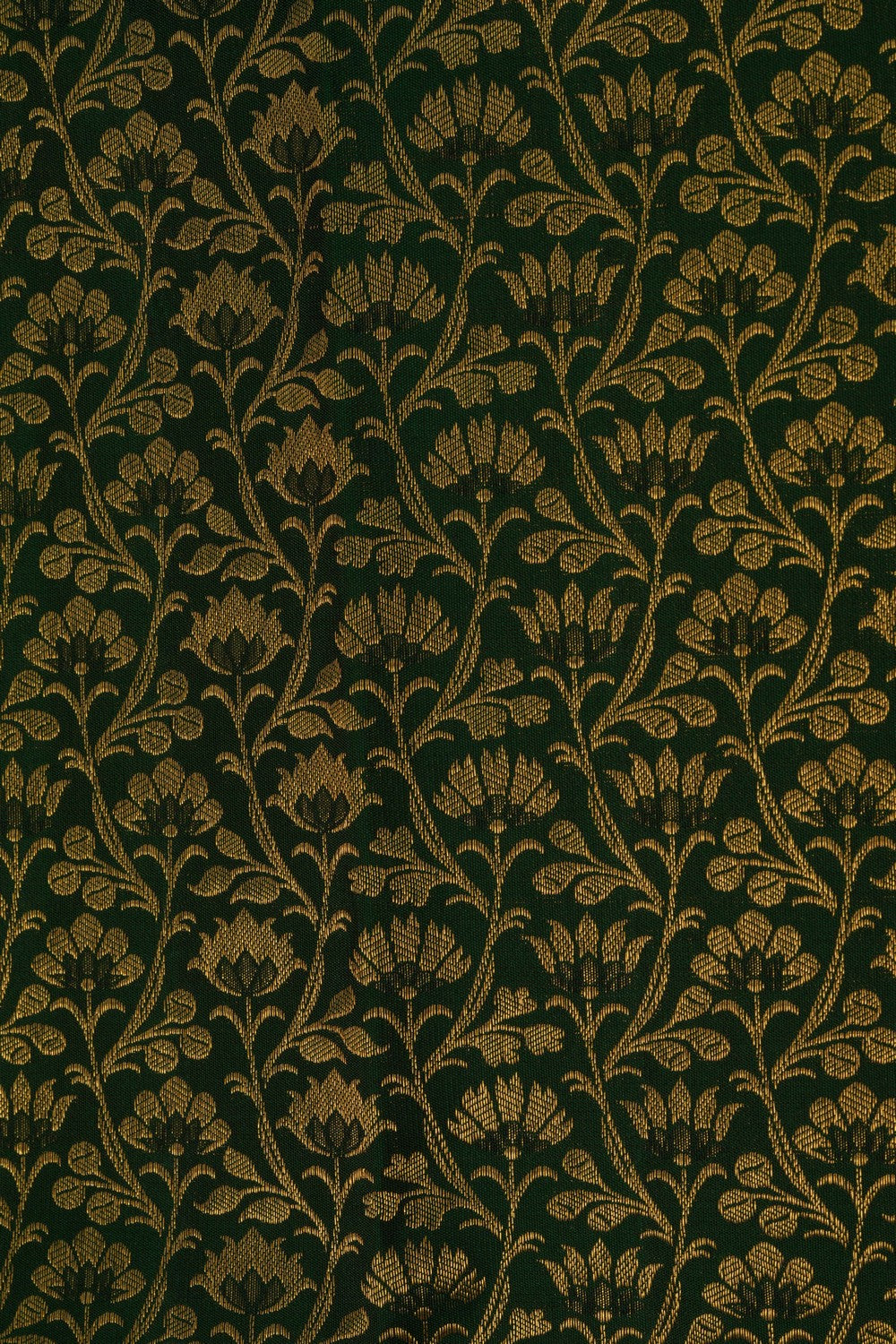 Kanchipattu Brocade Green Saree