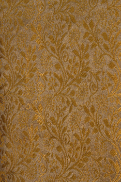 Image of Kanchipattu Tissue Brocade Saree