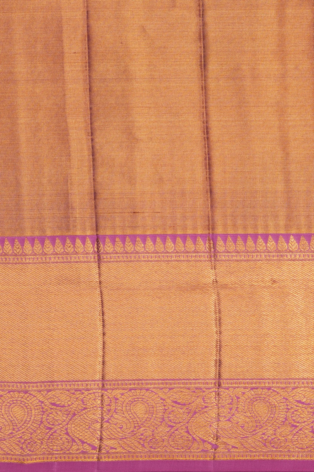 Image of Kanchipattu Tissue Brocade Saree