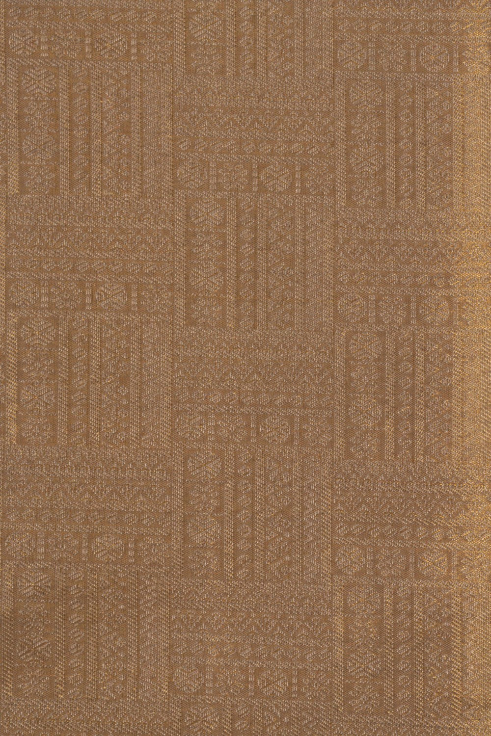 Kanchipattu Tissue Brocade Gold Saree