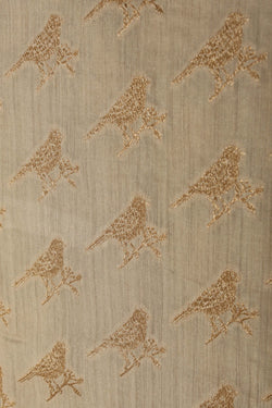 Image of Tussar Silk Off-White Saree