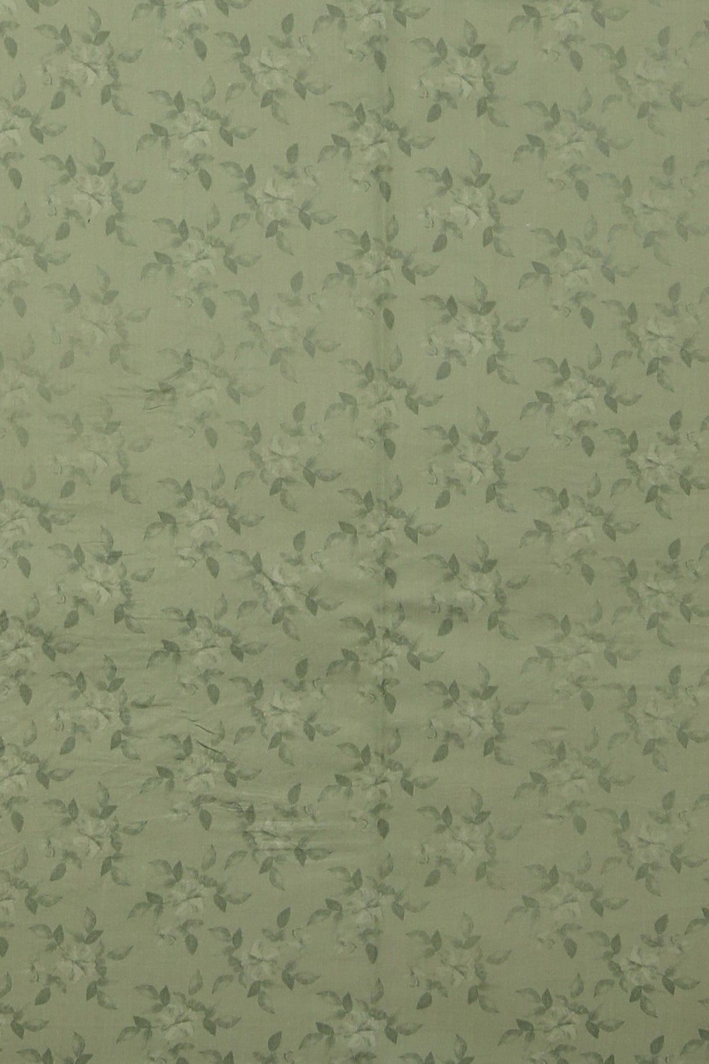 Image of Banarasi Muga Silk Saree