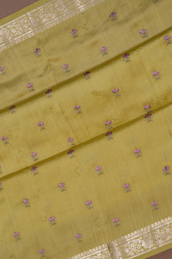 Image of Banarasi Muga Silk Saree