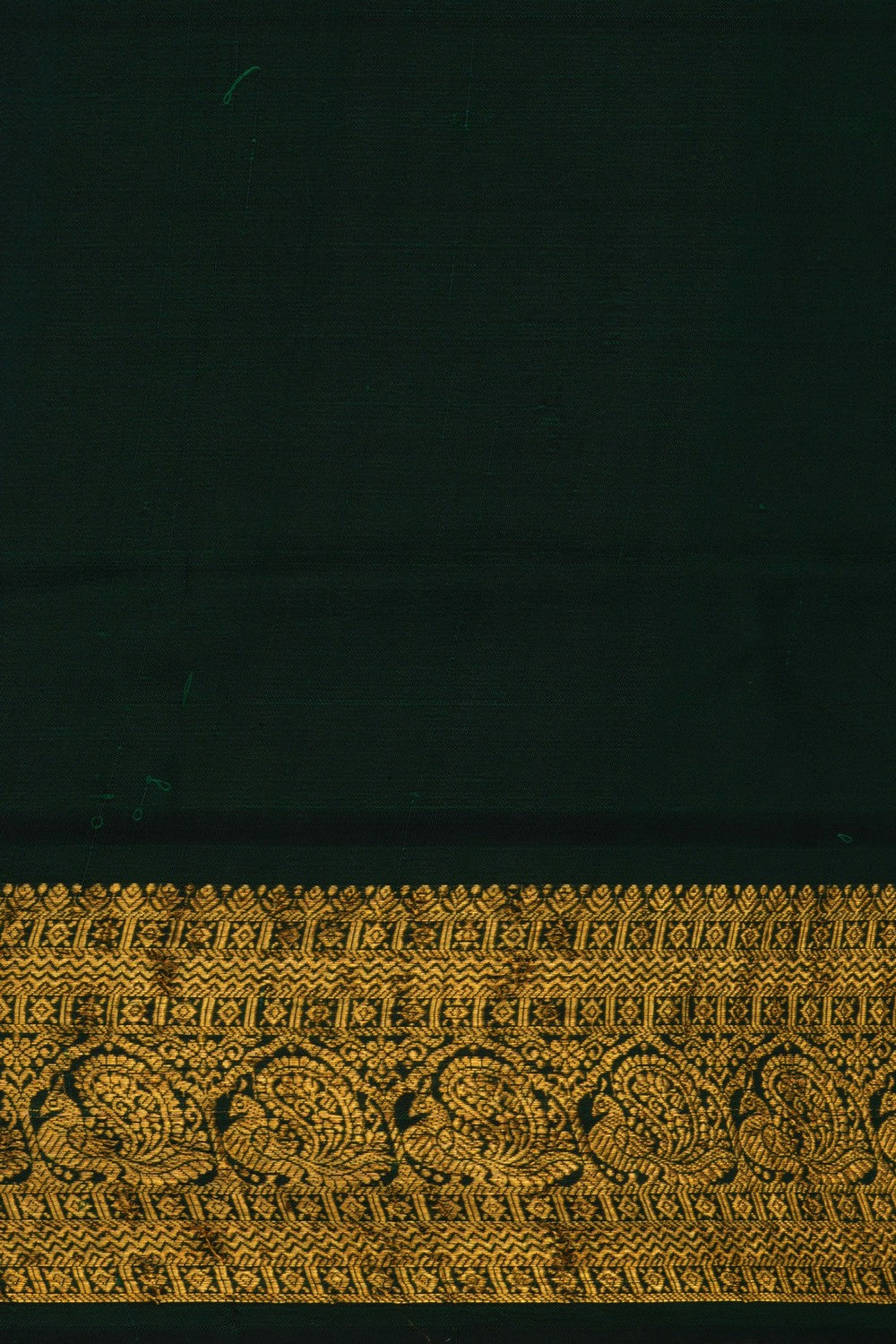 Image of Kalamkari Floral Saree
