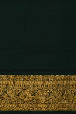 Image of Kalamkari Floral Saree