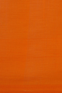 Image of Pochampally Ikat Saree