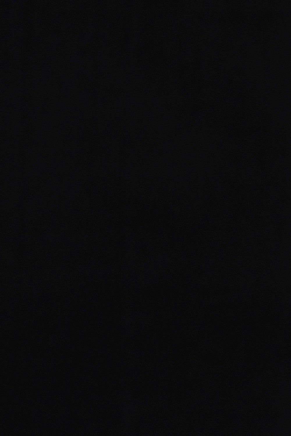 Image of Pochampally Ikat Saree