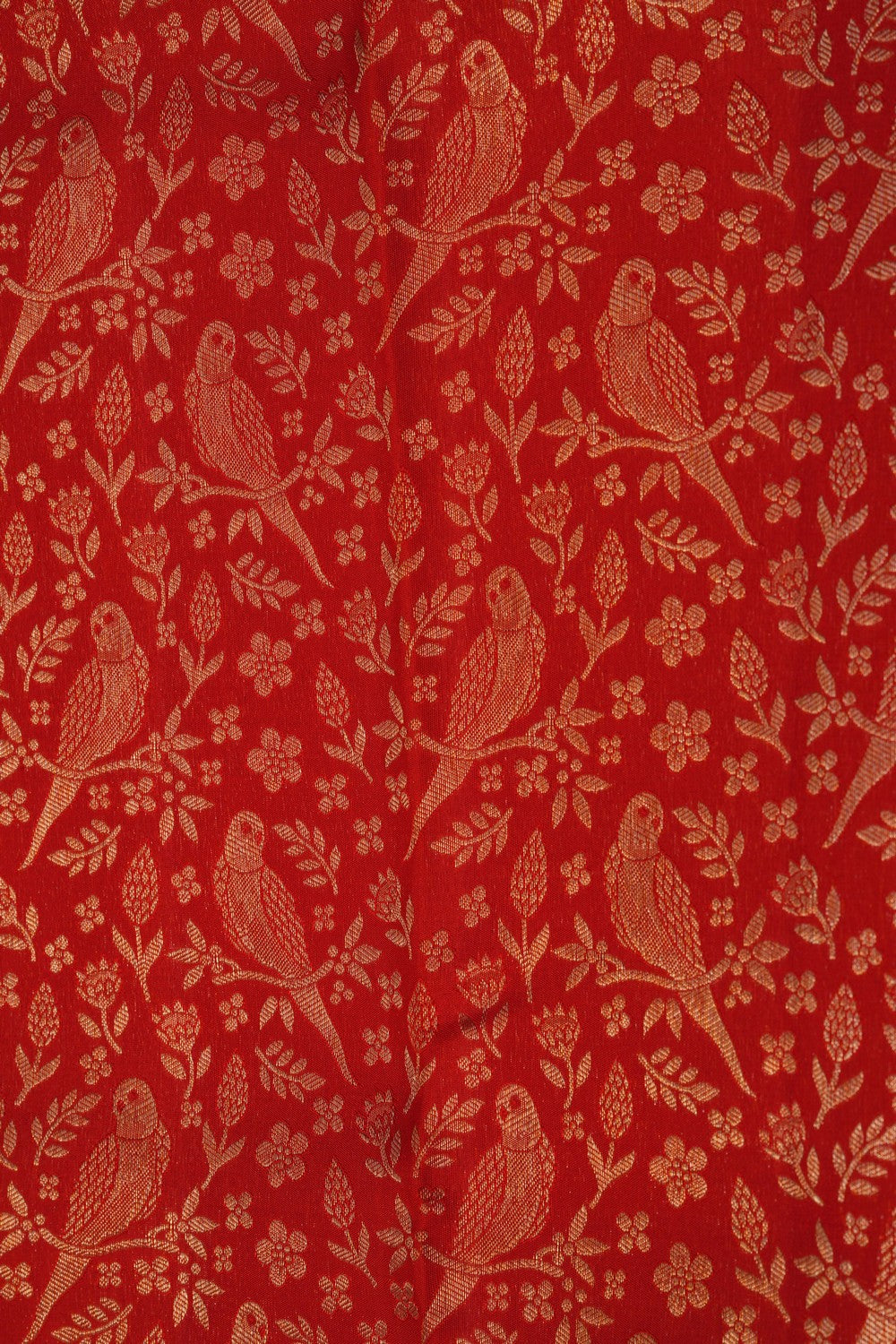 Image of Kanchipattu Brocade Red Saree