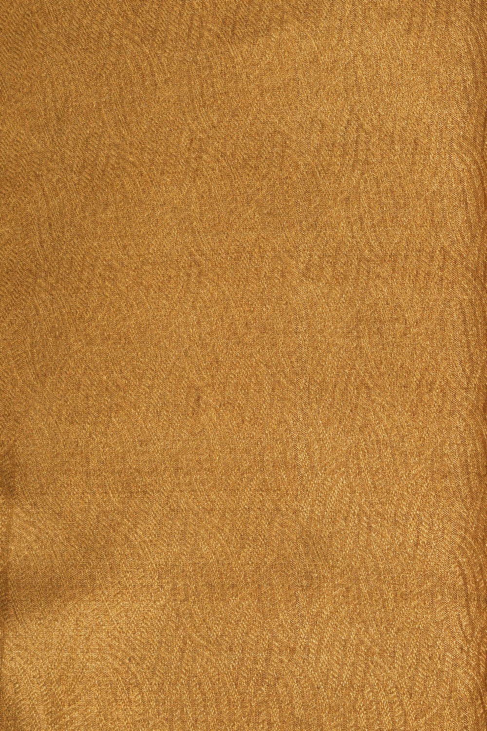 Image of Kanchipattu Tissue Brocade Saree