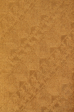 Image of Kanchipattu Tissue Brocade Saree