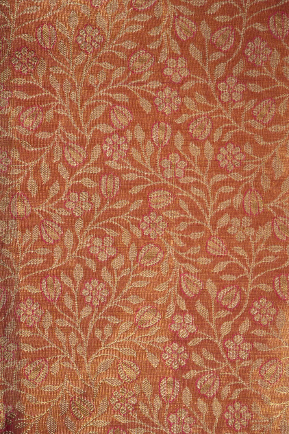 Kanchipattu Tissue Brocade Saree