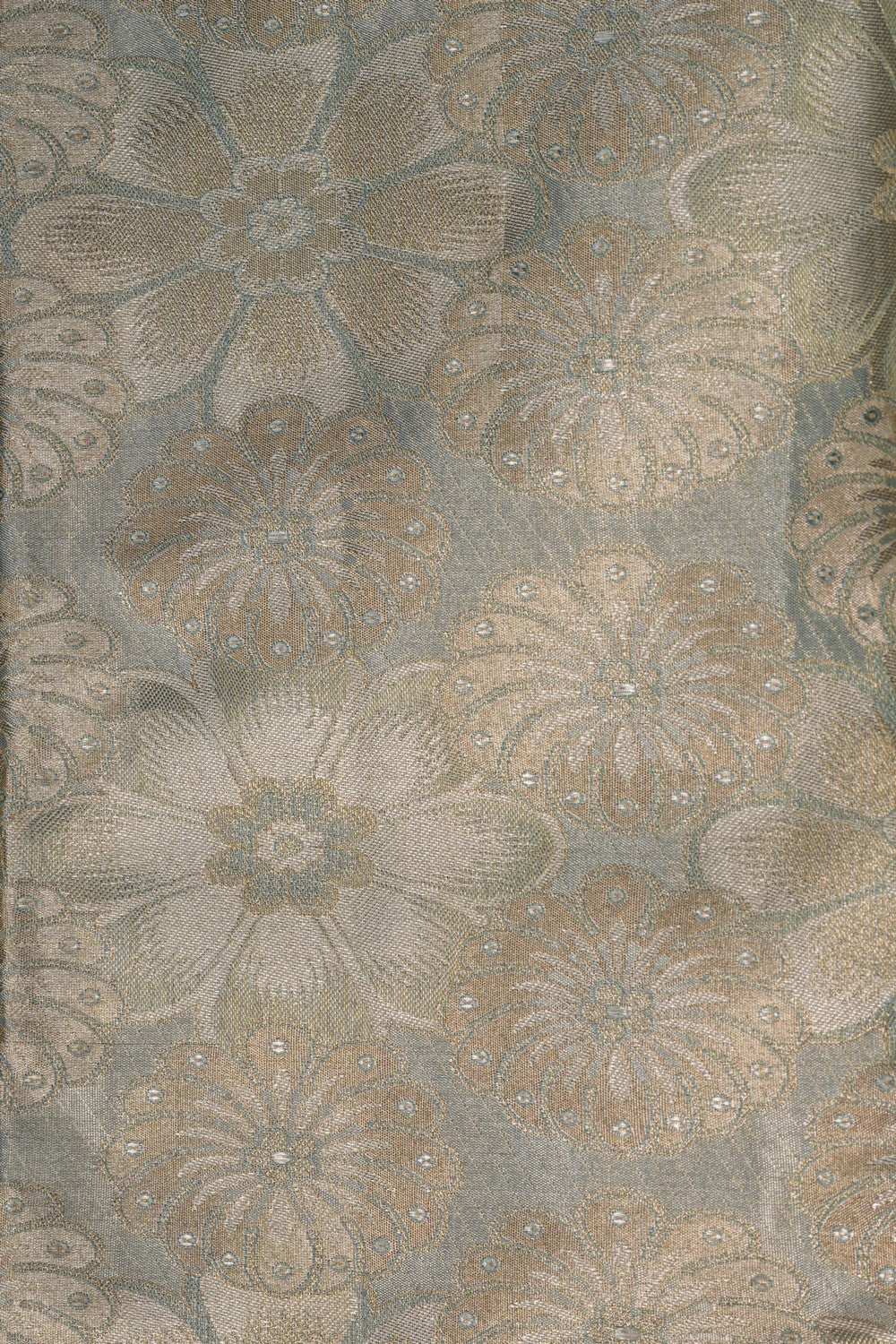 Image of Kanchipattu Tissue Brocade Saree