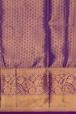 Image of Kanchipattu Tissue Brocade Saree