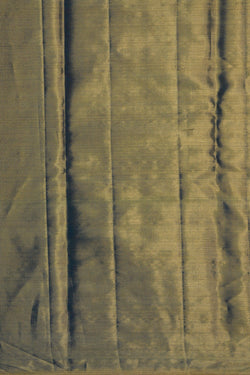 Image of Kanchipattu Tissue Brocade Saree