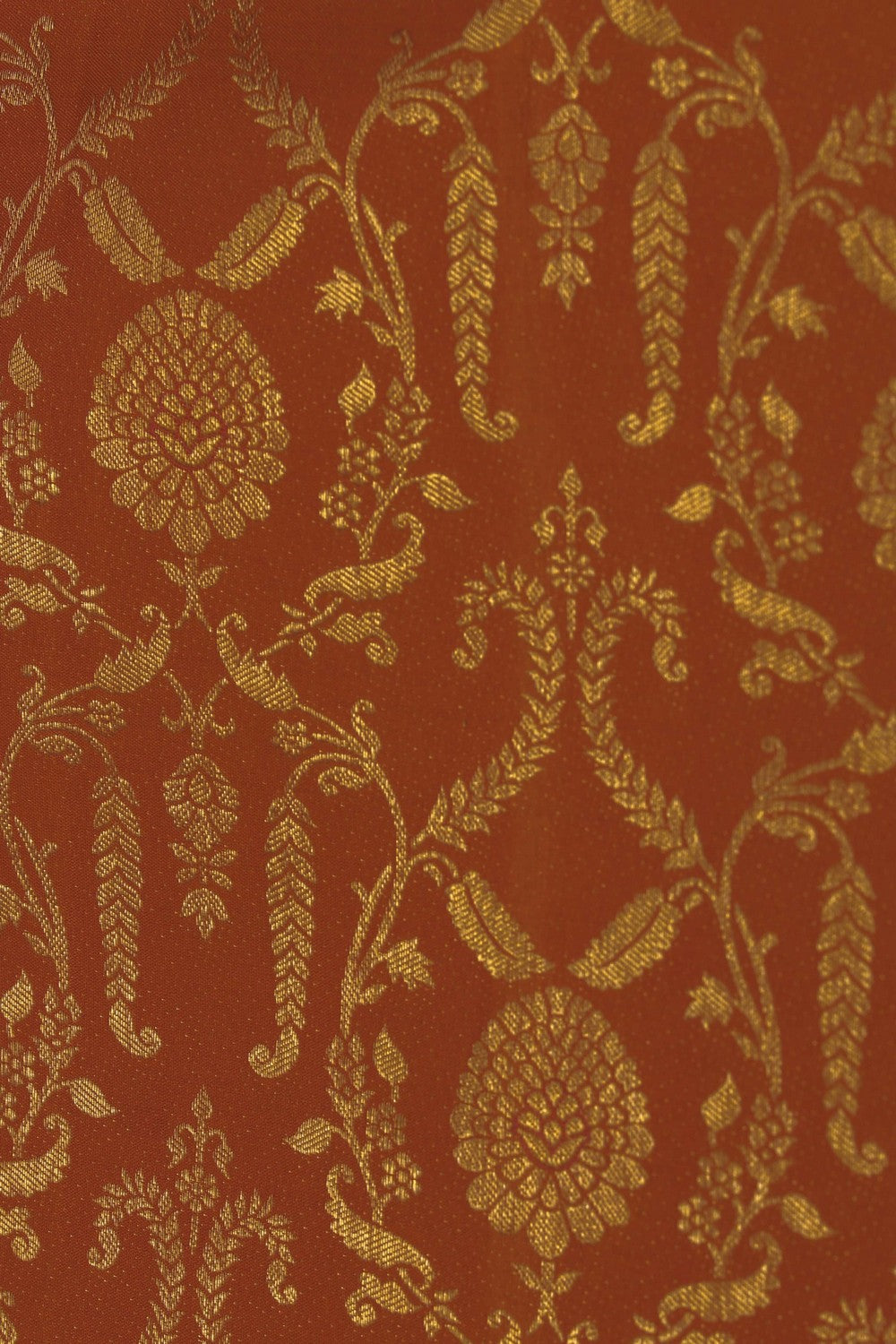 Image of Kanchipattu Brocade Orange Saree