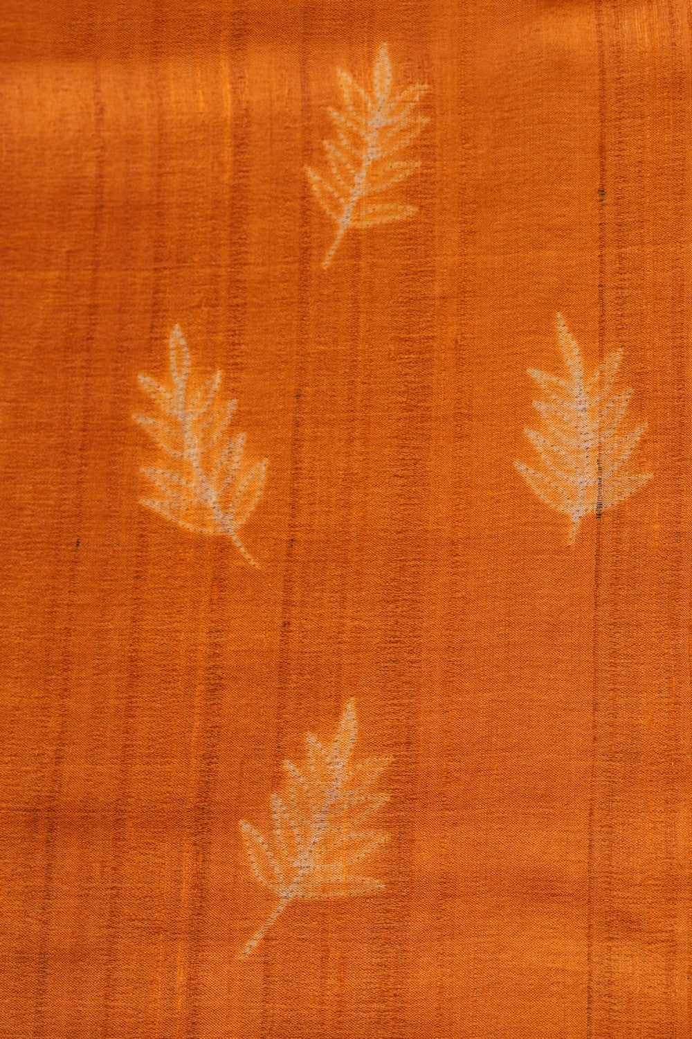 Image of Contemporary Charm Tussar Silk Saree