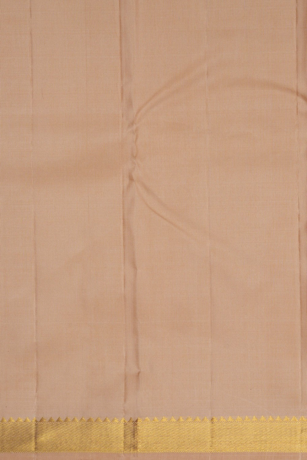 Image of Arani Silk Beige Saree