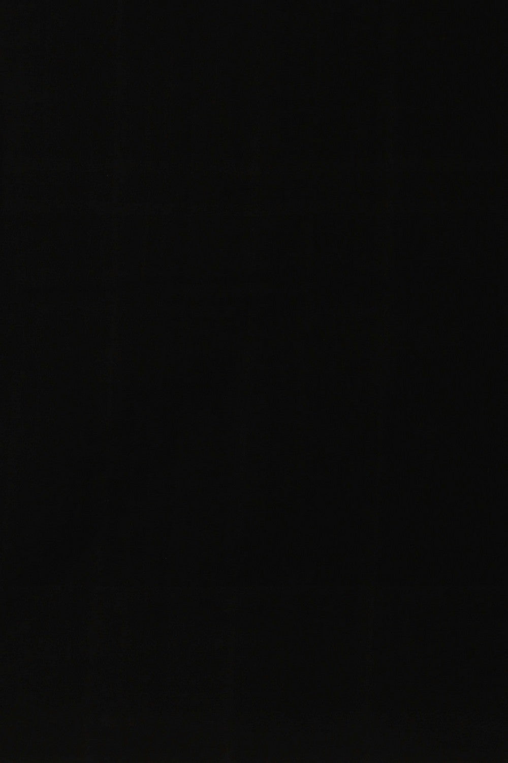 Image of Pochampally Ikat White Saree