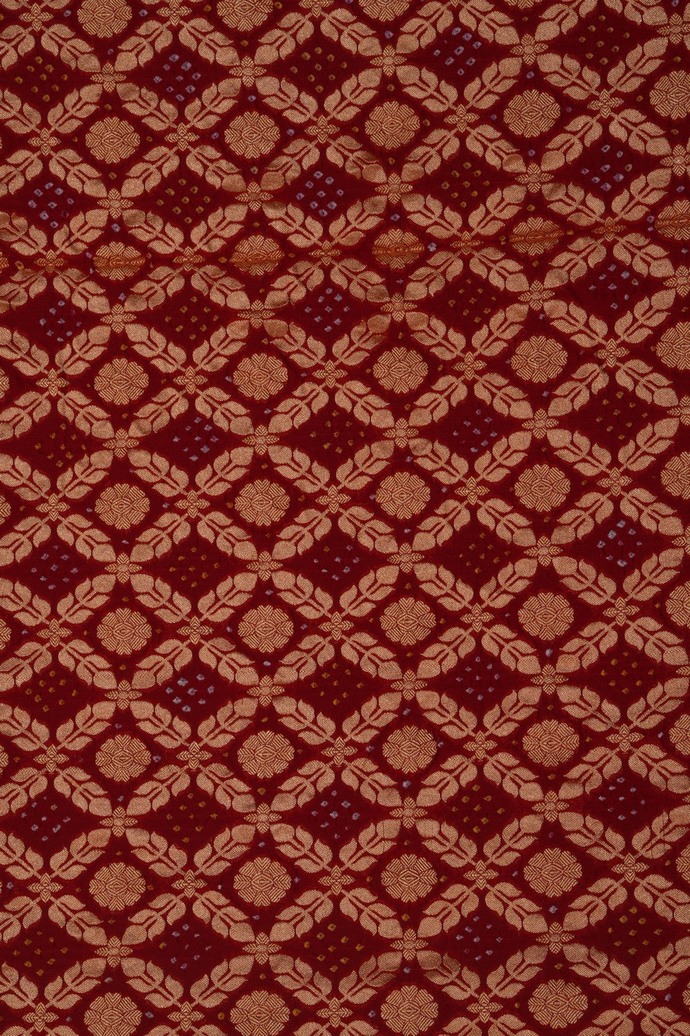 Image of Banarasi-Chiffon Bandhani Brocade Saree