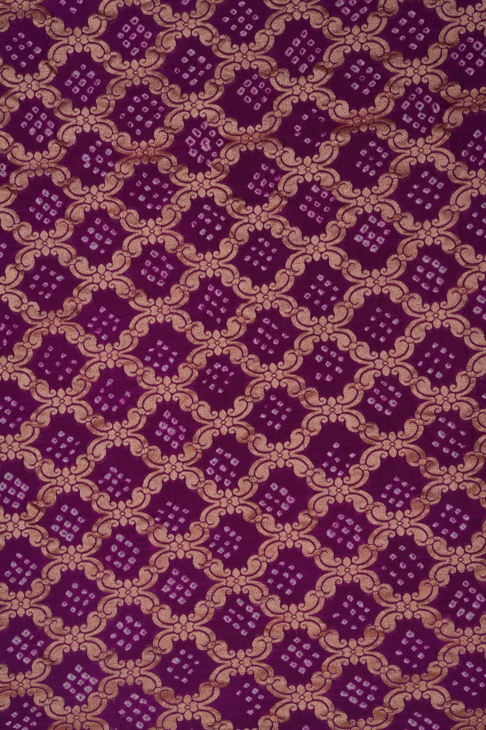 Image of Banarasi-Chiffon Bandhani Brocade Saree