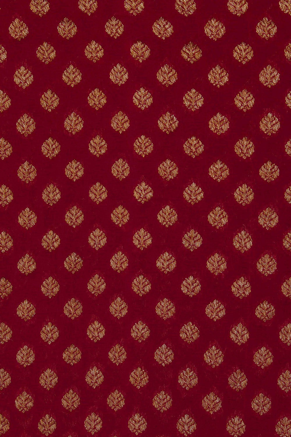 Image of Banarasi Georgette Saree