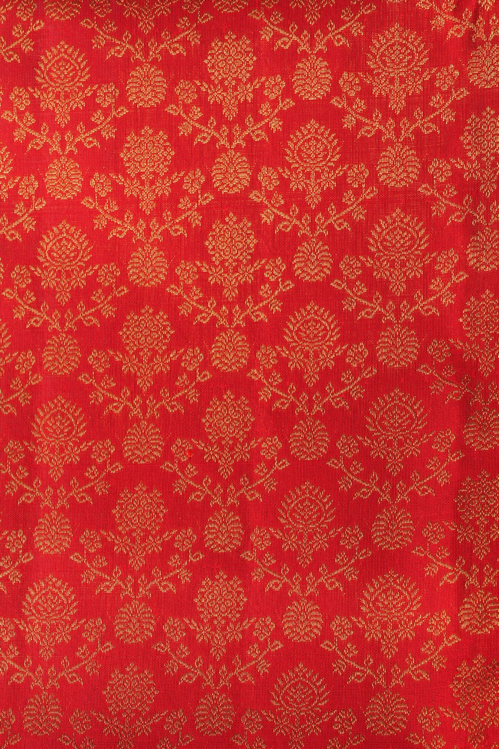 Image of Arani Silk Brocade Red Saree