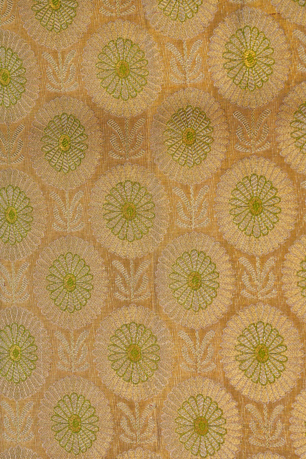 Image of Kanchipattu Tissue Brocade Gold Saree