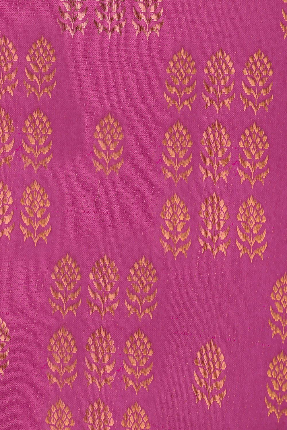 Image of Kanchipattu Brocade Pink Saree
