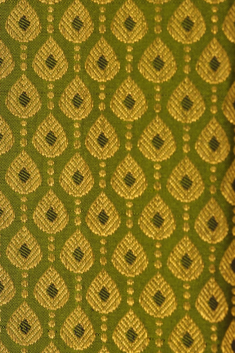 Image of Kanchipattu Brocade Green Saree