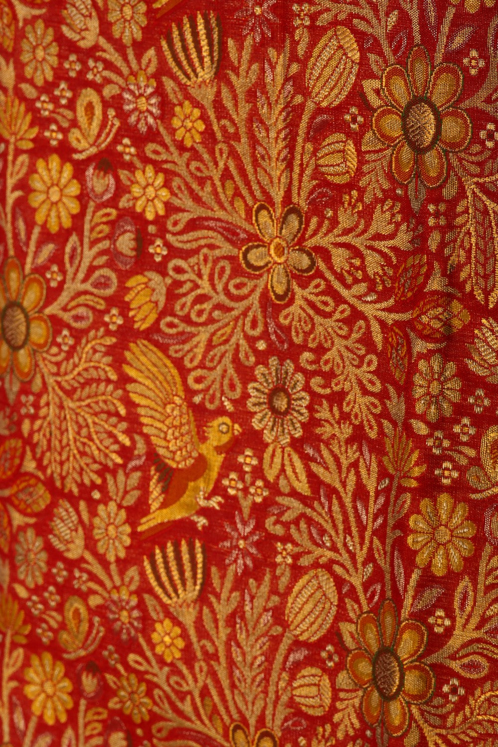 Image of Kanchipattu Brocade Red Saree