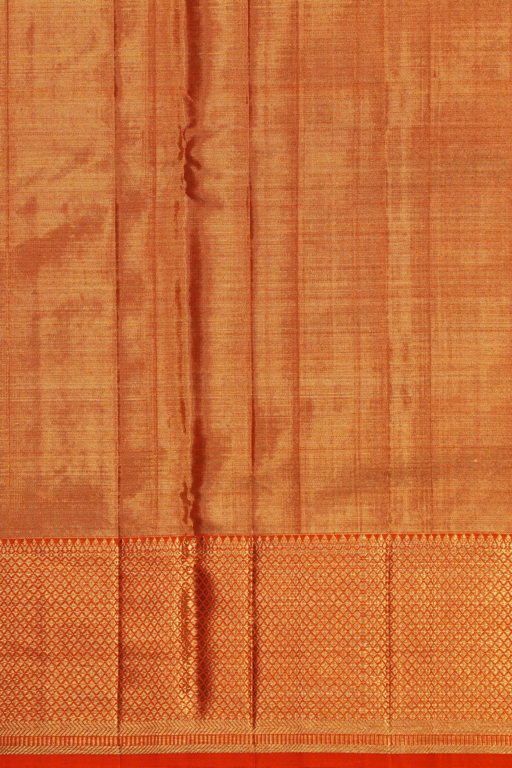 Image of Kanchipattu Tissue Brocade Orange Saree