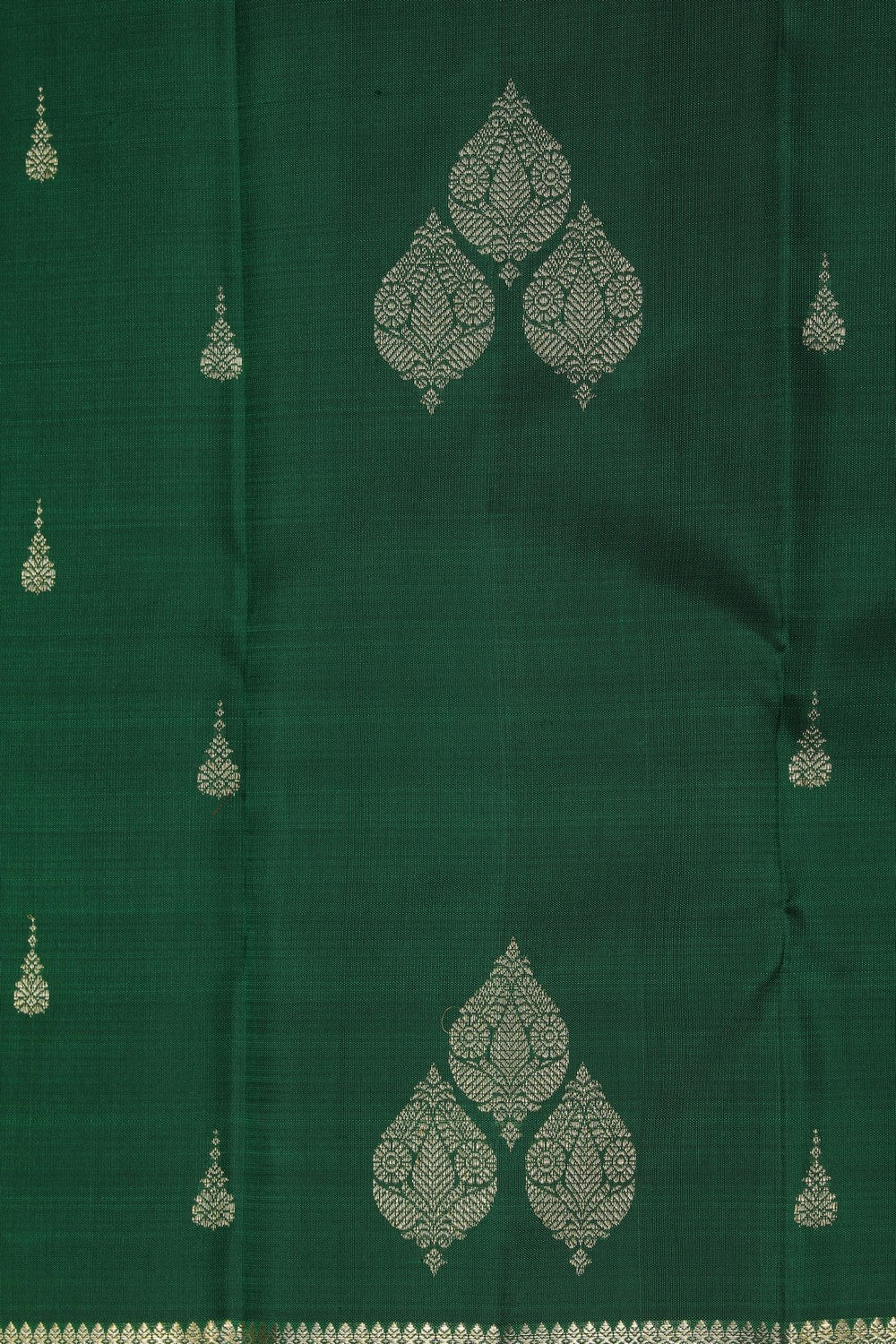 Image of Kanchipattu Leaf Green Saree