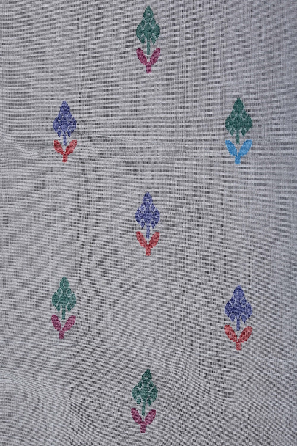 Image of Uppada Cotton Off-White Saree